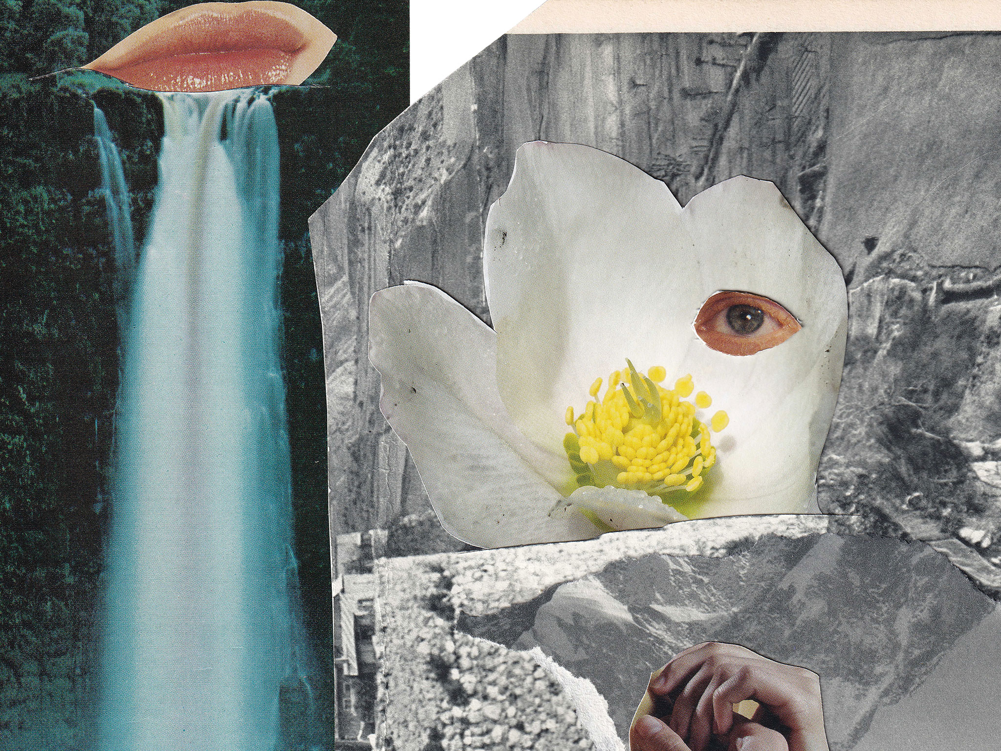 LIVE DREAMS PORTAL Artist Kitty Callaghan)